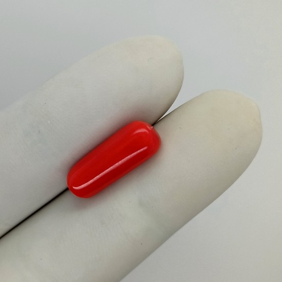 Coral (Moonga) 7.05 Ct Best Quality Coral (Moonga) 7.05 Ct Best Quality